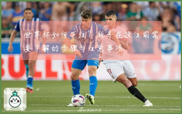 世界杯如何下注？新手在投注前需要了解的步骤与注意事项