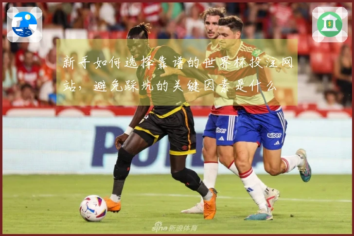 新手如何选择靠谱的世界杯投注网站，避免踩坑的关键因素是什么