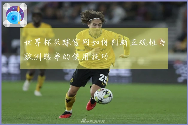 世界杯买球官网如何判断正规性与欧洲赔率的使用技巧