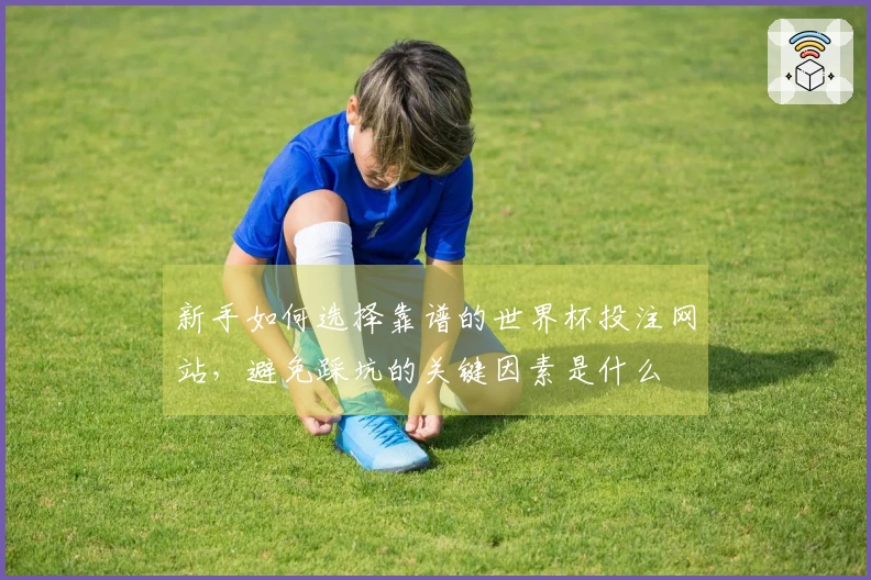 新手如何选择靠谱的世界杯投注网站，避免踩坑的关键因素是什么